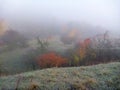 Misfy frosty autumn morning in the nature Royalty Free Stock Photo