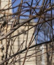 A mishmash of branches, streets of London.