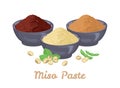 Miso paste in dark bowls and soybeans isolated on white background. Vector illustration of japanese food in cartoon flat style.