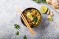 Miso Ramen Asian noodles soup with tempeh or tempe  in a bowl. Health food for healthy eating for vegans & vegetarians . Asian Royalty Free Stock Photo