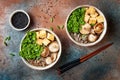 Miso and soba noodles soup with kale, shiitake mushrooms, roasted tofu. Royalty Free Stock Photo