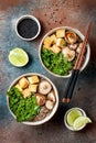 Miso and soba noodles soup with kale, shiitake mushrooms, roasted tofu. Royalty Free Stock Photo