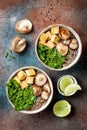 Miso and soba noodles soup with kale, shiitake mushrooms, roasted tofu. Royalty Free Stock Photo