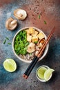 Miso and soba noodles soup with kale, shiitake mushrooms, roasted tofu. Royalty Free Stock Photo