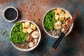 Miso and soba noodles soup with kale, shiitake mushrooms, roasted tofu. Royalty Free Stock Photo