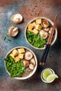 Miso and soba noodles soup with kale, shiitake mushrooms, roasted tofu. Royalty Free Stock Photo