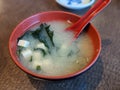 Miso soup tofu seaweed hot clear salty bowl Royalty Free Stock Photo