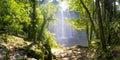 Misol Ha Waterfall Mexico Royalty Free Stock Photo