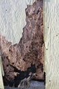 Close up view of decayed outside wall siding Royalty Free Stock Photo