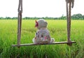 Missing some one... a girl polar bear doll sitting alone on wooden swing with green paddy fields in background