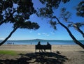 Auckland Beach