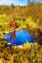 Little Girl looking at her reflection in the water of Silverdale Creek Wetlands, a Marsh and Bog on a nice fall day Royalty Free Stock Photo