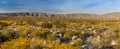 Mission creek preserve in California, desert bushes with bloom on hills during spring time