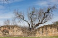 Mission Espada