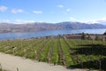 Tourism BC- Mission Hill Winery- Kelowna, BC- Westbank