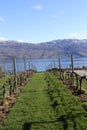 Tourism BC- Mission Hill Winery- Kelowna, BC- Westbank