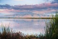 Mission Peak covered in sunset colored clouds reflected in the ponds of south San Francisco bay, Sunnyvale, California Royalty Free Stock Photo