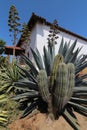 Mission San Luis Rey