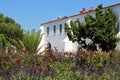 Mission San Luis Rey Royalty Free Stock Photo