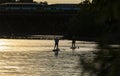 Mississauga, Ontario - August 28, 2022: Silhouette of A Couple of Women on Stand Up Paddle Board Going Up Credit River