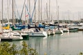 Sailboats and yachts berthed and docked at Lakefront Promenade Marina