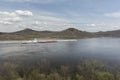 Mississippi River Barge In Spring Royalty Free Stock Photo