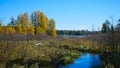 Mississippi River at 300 feet from the source, Lake Itasca Royalty Free Stock Photo