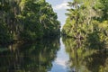 Mississippi River and Forest of Jean Lafitte National Park Royalty Free Stock Photo