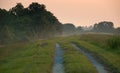 Mississippi River levee near Baton Rouge