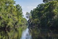 Mississippi River Through Woodlands of Jean Lafitte National Park Royalty Free Stock Photo