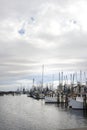 Mississippi Shrimp Boats At Dock