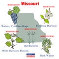 Missouri. Set of USA official state symbols