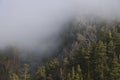 Mist. Bashkortostan. Southern Urals Royalty Free Stock Photo