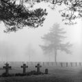 Mist Cemetery Graveyard Gravestone Grim