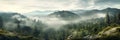 mist-covered hills - panoramic shot