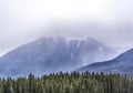 Mist covered majestic mountains with pine tree forest in foreground.