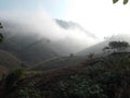 Mist covered the morning valley.