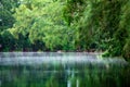 Mist or fog over a lake with overhanging branches, surrounded by forest of green trees - Wolf Lake Park, Davie, Florida, USA Royalty Free Stock Photo