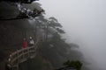 The Mist, Foggy Rainny day. Stone Steep Steps . Trekking walking Royalty Free Stock Photo