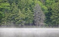 Misty Early Morning Scene On A Still Canadian River