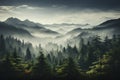 Mist-laden evergreen woods offer a captivating sight, with fog adding an ethereal touch to the mountain landscape Royalty Free Stock Photo