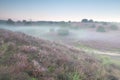 Mist morning on heather flowering hills Royalty Free Stock Photo