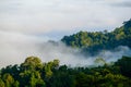 The fog at Khao Phanoen Thung, Kaeng Krachan National Park in Th Royalty Free Stock Photo