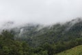 Mist mountains and trees