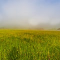 Mist over Austrian landscape Royalty Free Stock Photo