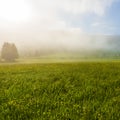 Mist over Austrian landscape Royalty Free Stock Photo