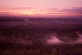 Fog over the forest at sunset