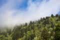 Mist over the Great Smoky Mountains Royalty Free Stock Photo