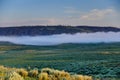 Mist over Hayden Valley Royalty Free Stock Photo