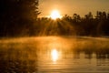 Mist Painted Gold By The Sunrise Royalty Free Stock Photo